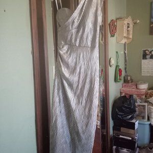 Silver/Gold Shimmer Dress